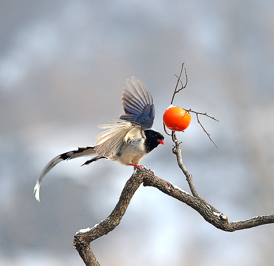 01 - ����.jpg