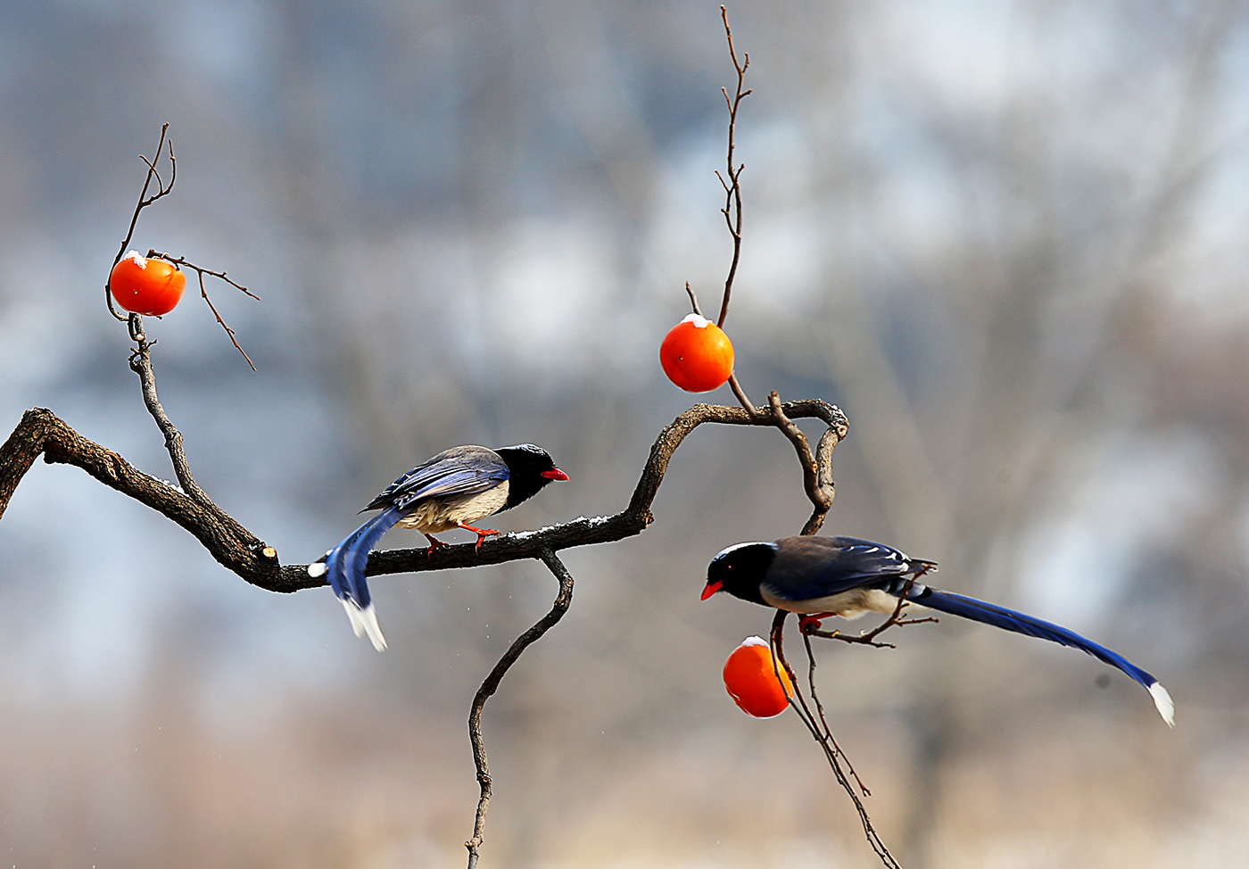 02 - ����.jpg