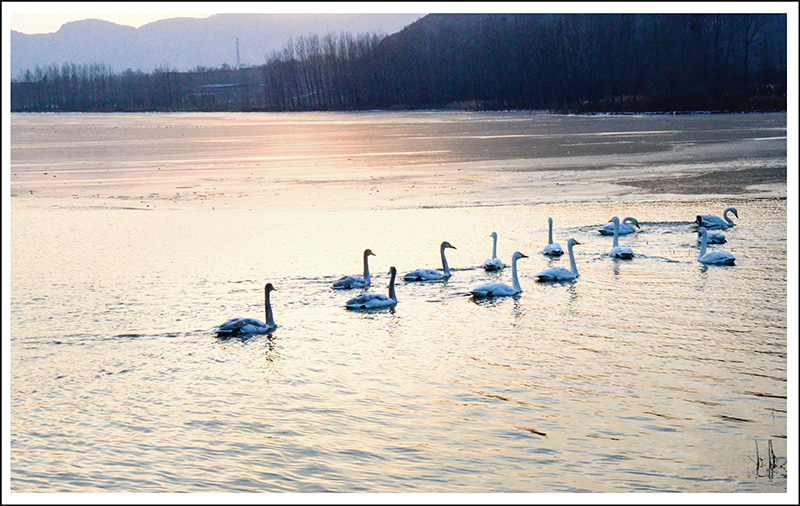 2013��12��28��ƽ½�������Ƭ ����2511.jpg