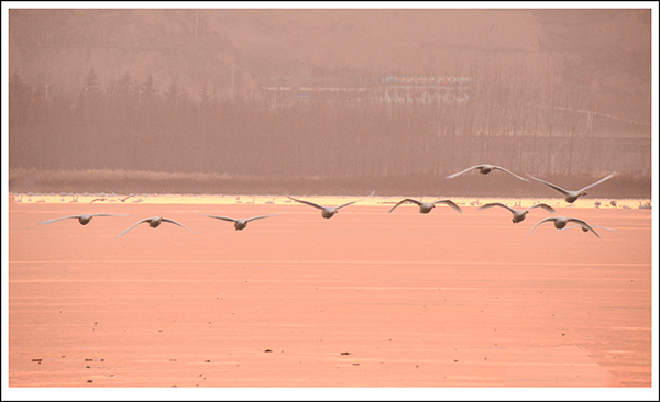 2013��12��28��ƽ½�������Ƭ ����2931.jpg