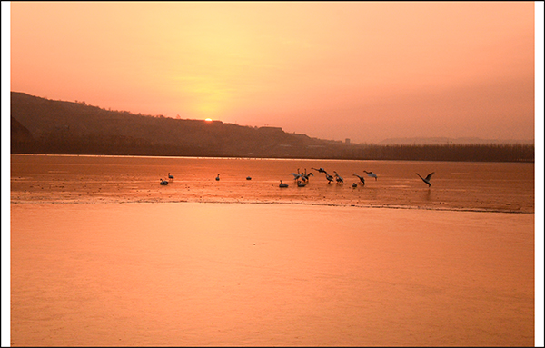 2013��12��28��ƽ½�������Ƭ ����3341.jpg