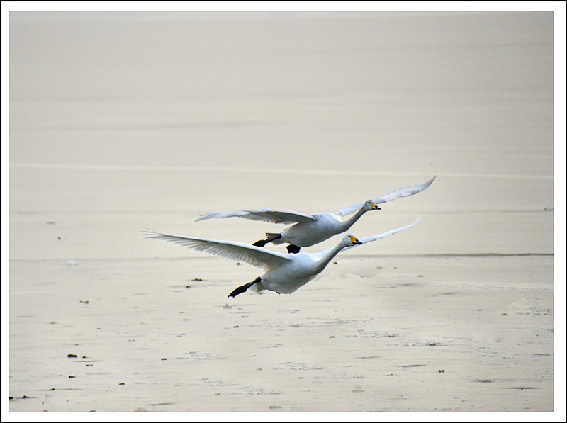 2013��12��28��ƽ½�������Ƭ ����1103.jpg