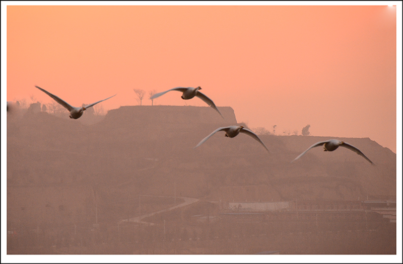 2013��12��28��ƽ½�������Ƭ ����2961.jpg