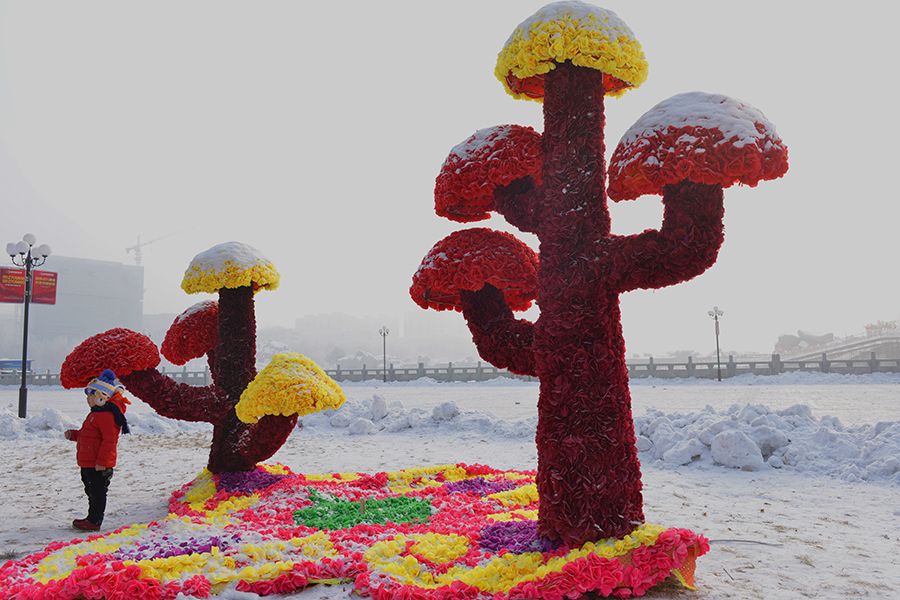 ��ѩ�еĻ��Ƕ��