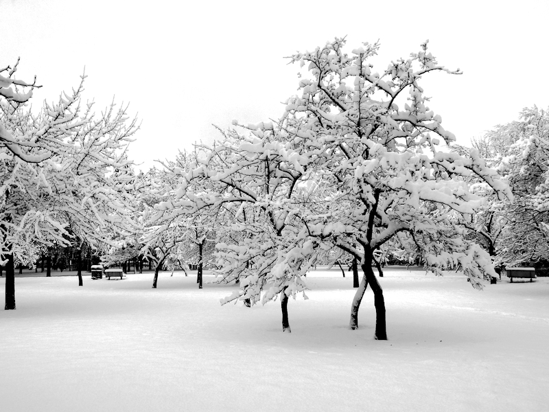 �ӹ��Ч��ͼ