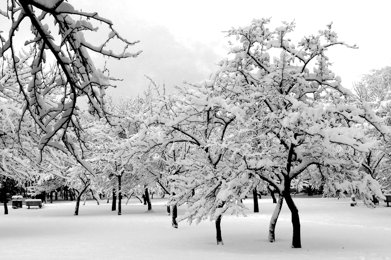 �ӹ��Ч��ͼ