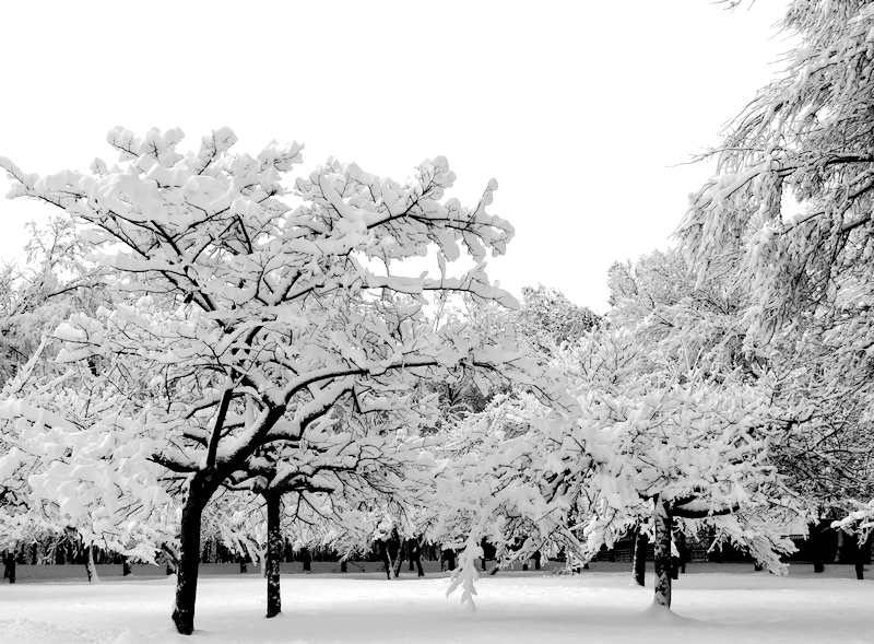 �ӹ��Ч��ͼ