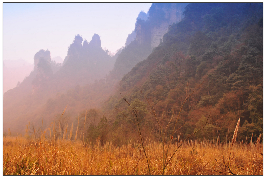 �����ķ��ޱ���ɽ