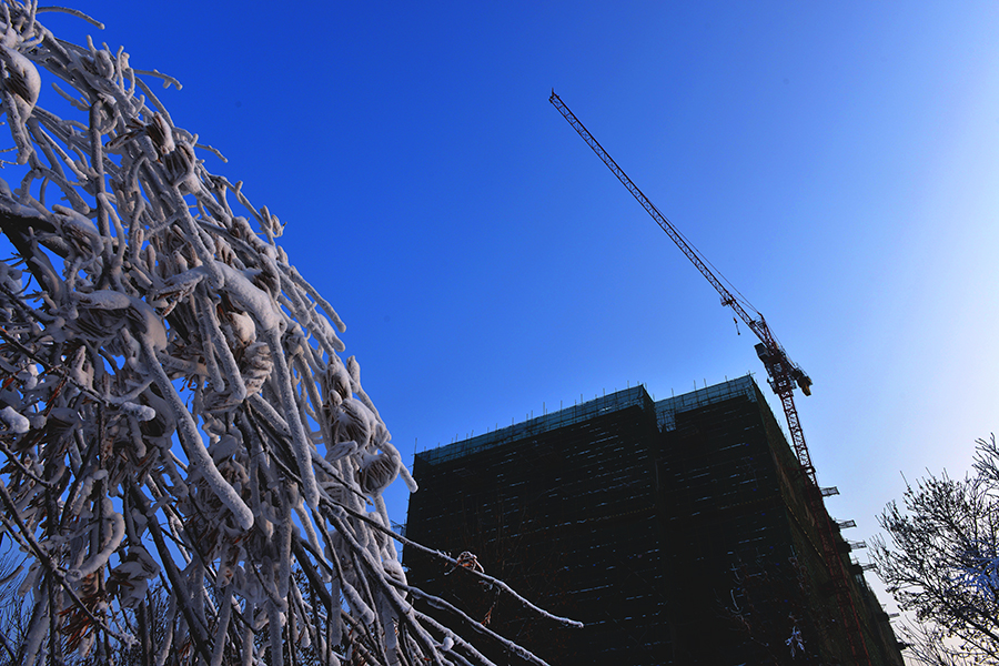 ���е���������