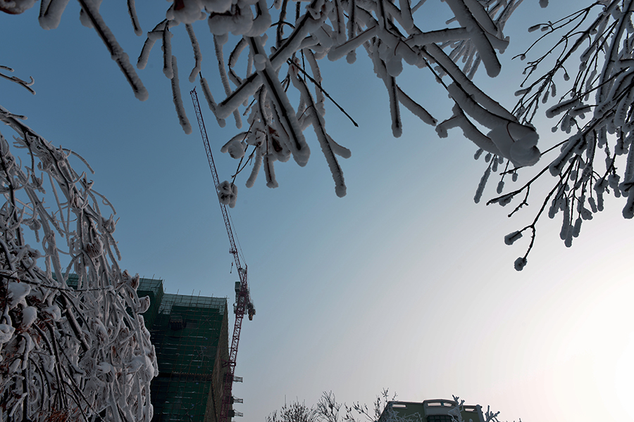 ���е���������