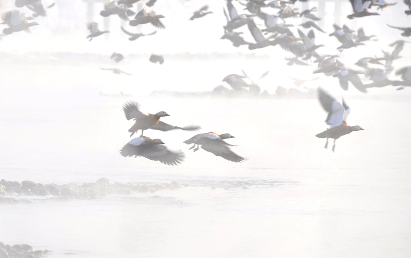 _LFD4370 ����2.jpg