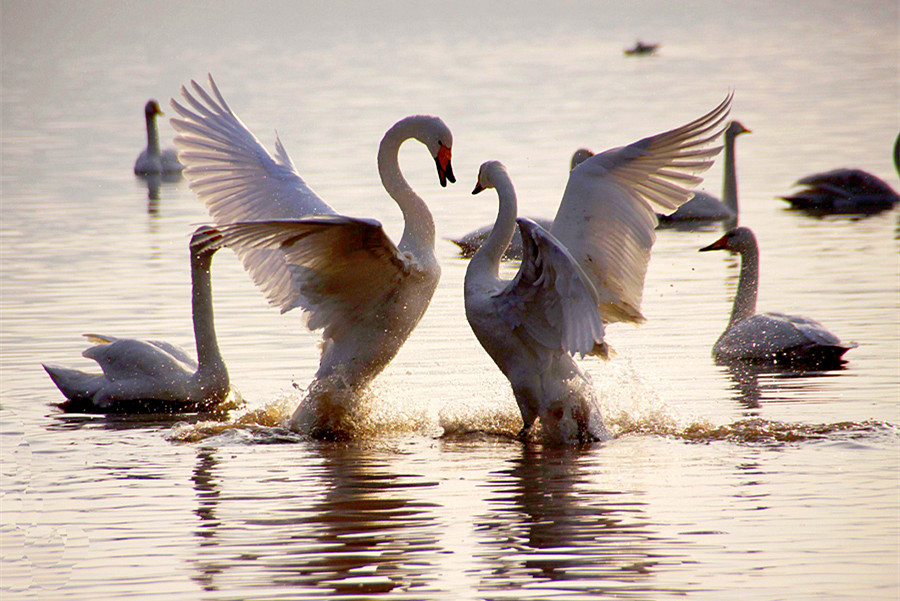 ���� (1).jpg