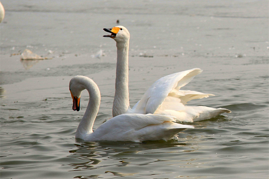 ���� (2).jpg