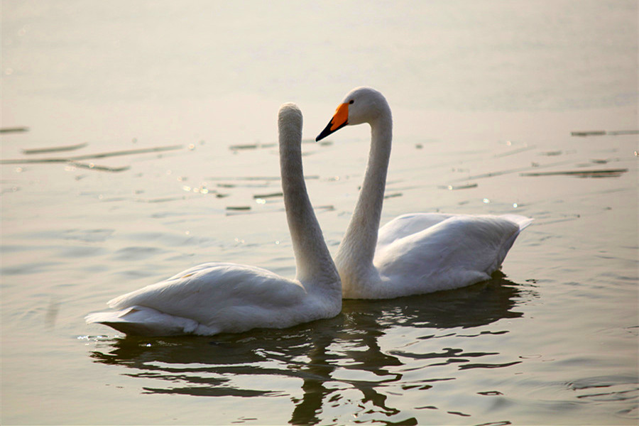 ���� (3).jpg