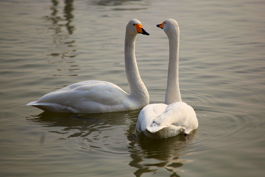 ���� (4).jpg