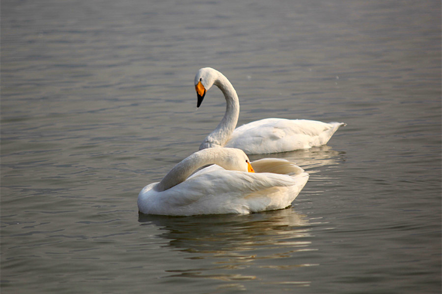 ���� (5).jpg