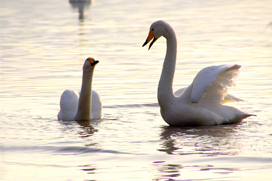 ����� 260_����.jpg