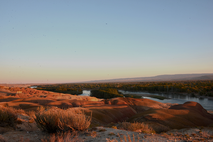 �����Ϧ������