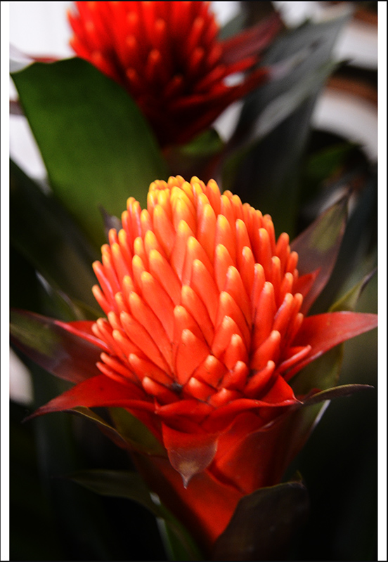 ��ת ��ת 2014��1��19����ѩ��������Ƭ���� 1125.jpg