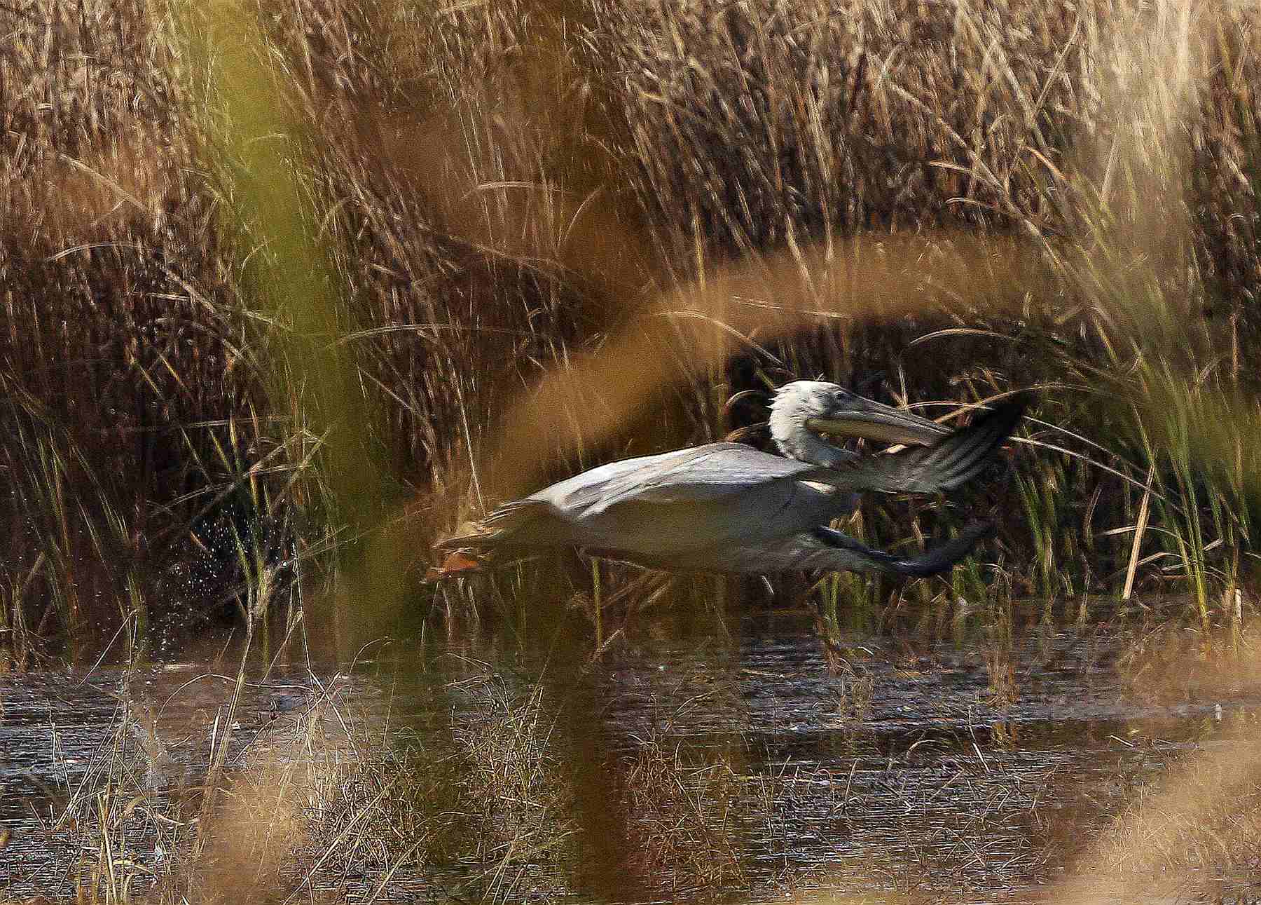 �������� 2.jpg