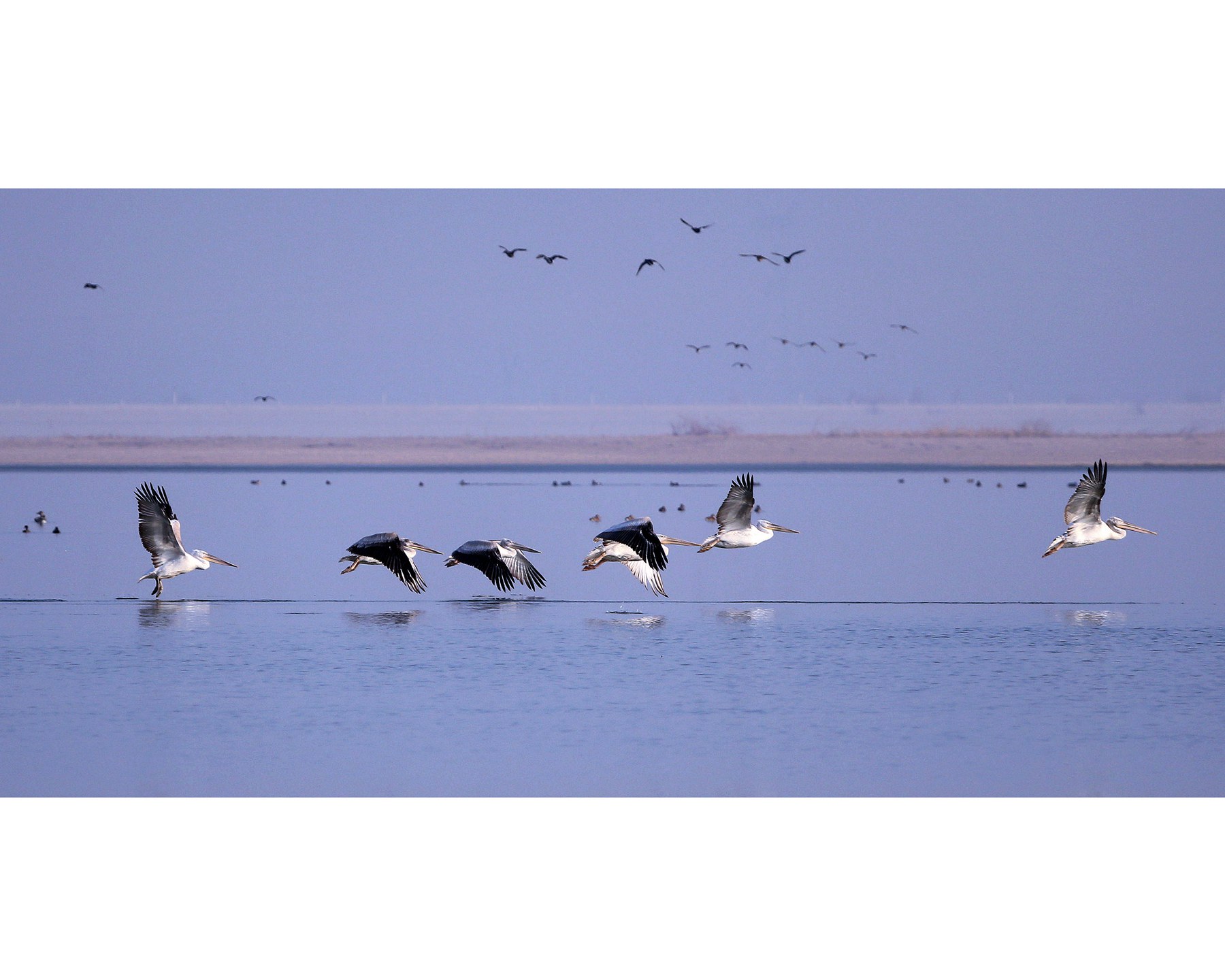 ���ɷ��� 3.jpg