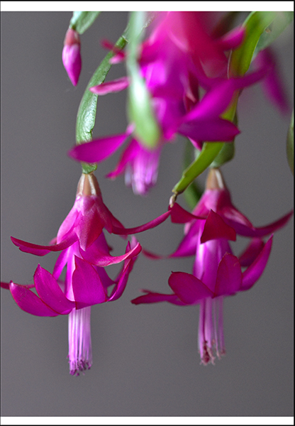 ��ת ��ת 2014��1��22��С����Ƭ����1 028.jpg