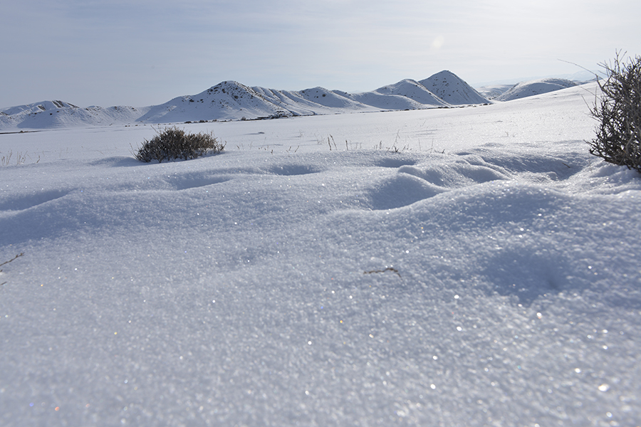 ��ɽ���������ͯ��