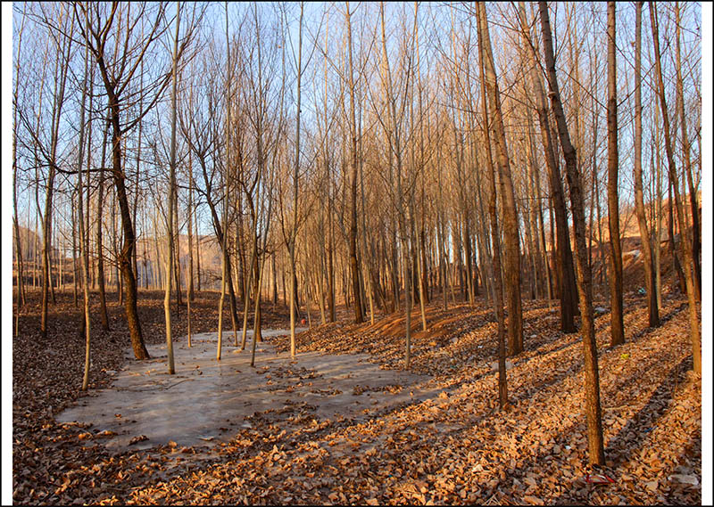 2014��1��22����С������Ƭ���� 1015.jpg