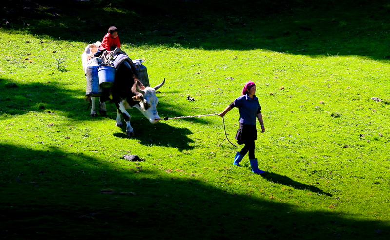 4   ��ˮ����.jpg