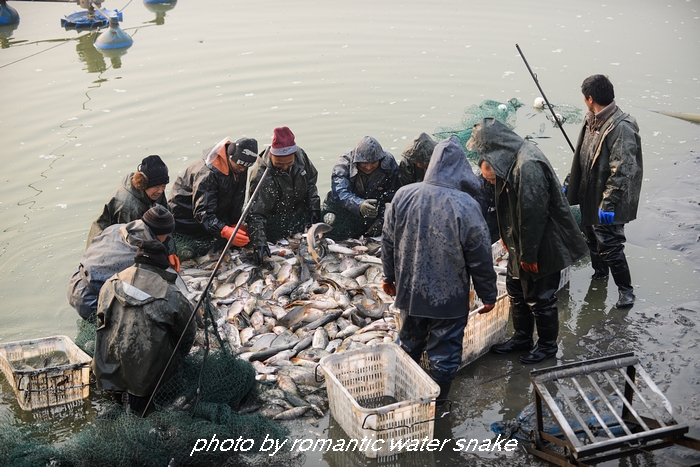 DSC_7855 - ����.jpg