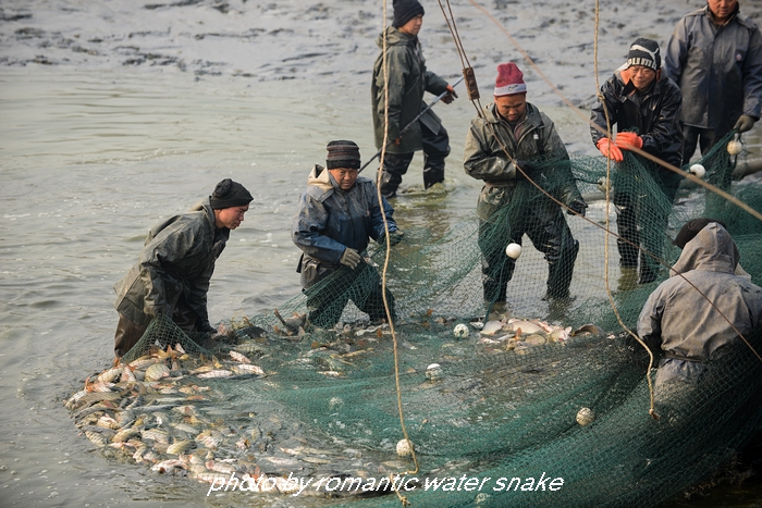 DSC_7943 - ����.jpg