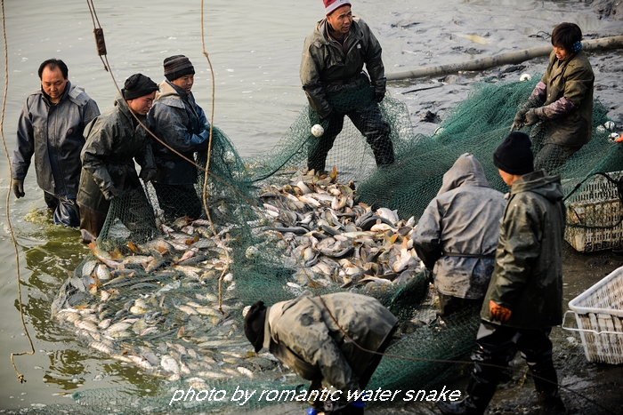 DSC_7945 - ����.jpg