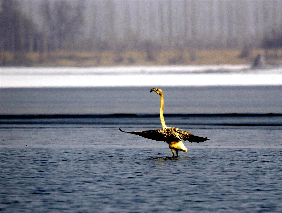 ������ (1).jpg