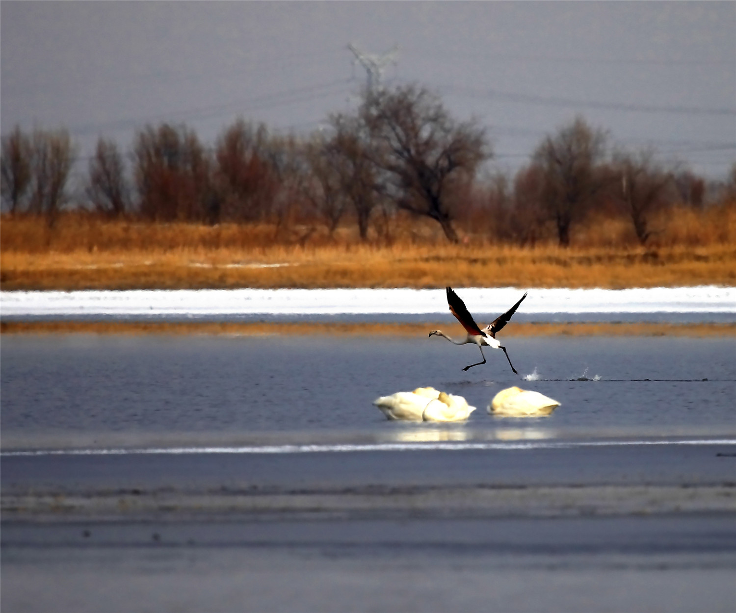 ������ (2).jpg