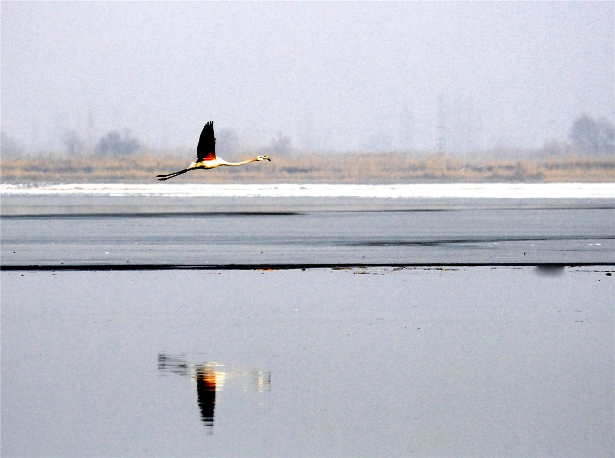 ������ (3).jpg