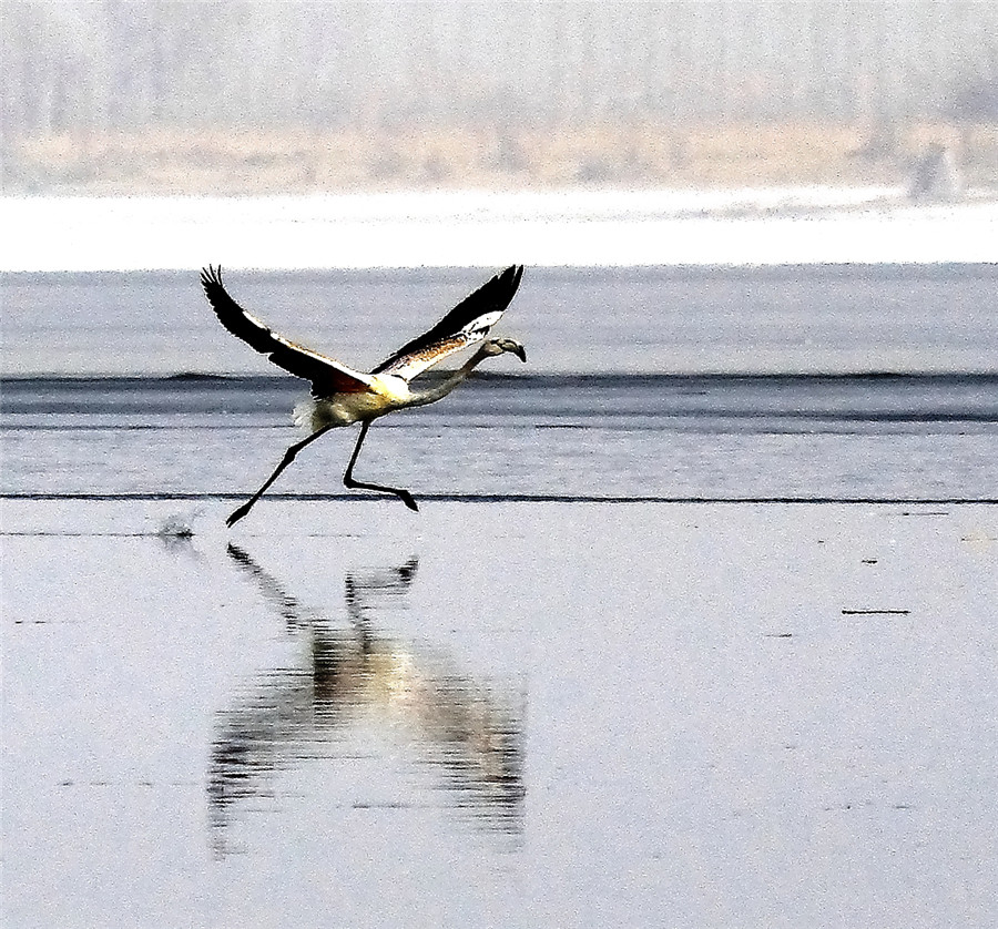 ������ (1).jpg