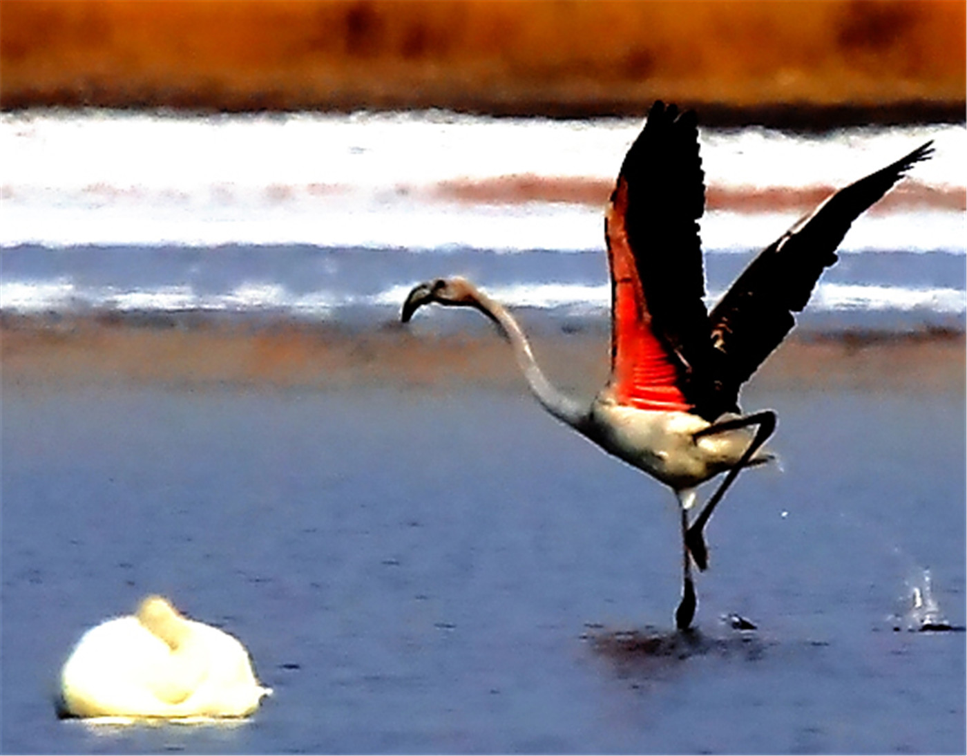 ������ (3).jpg