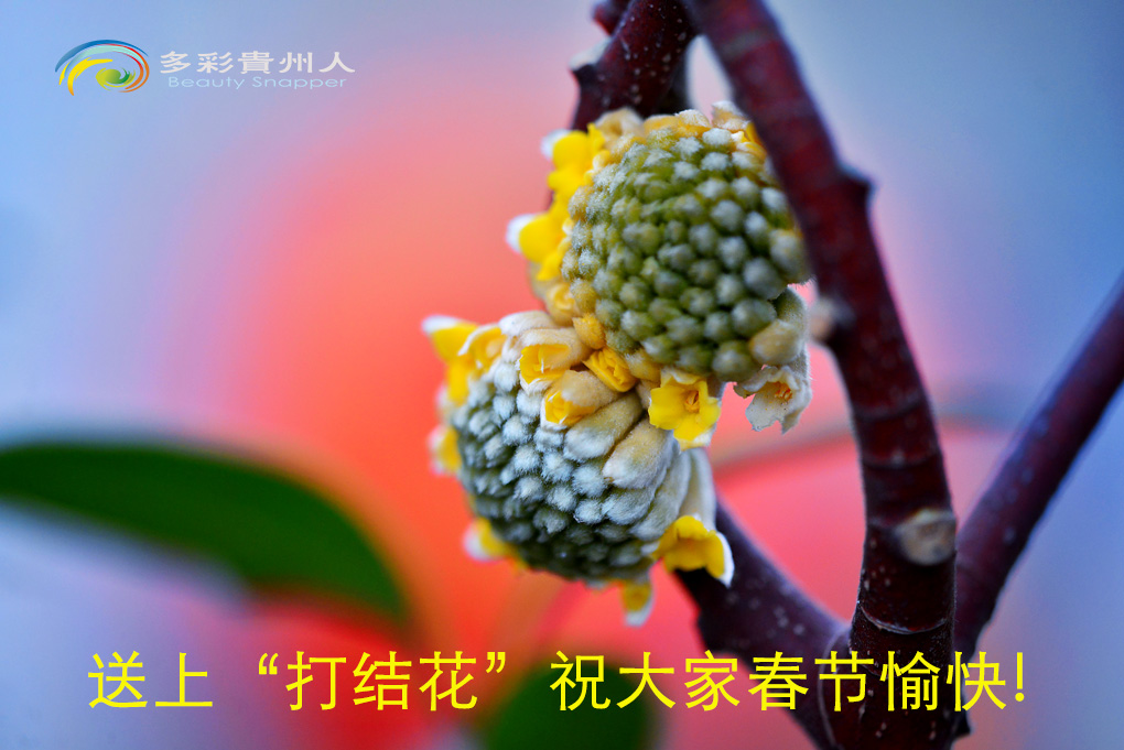 DSC_4410 ����.jpg