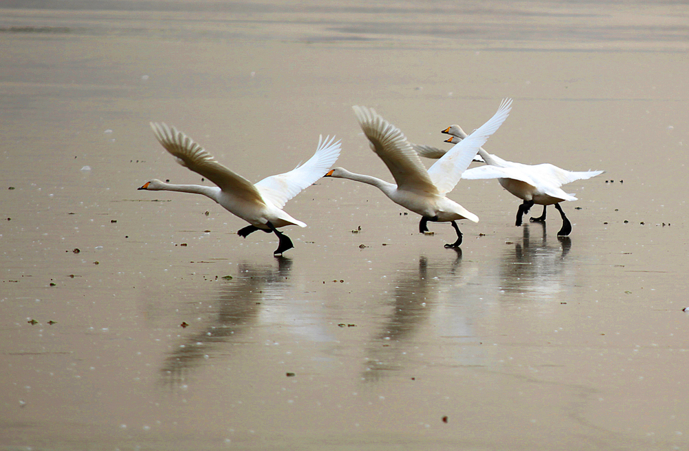 �����Ƭ 108.jpg