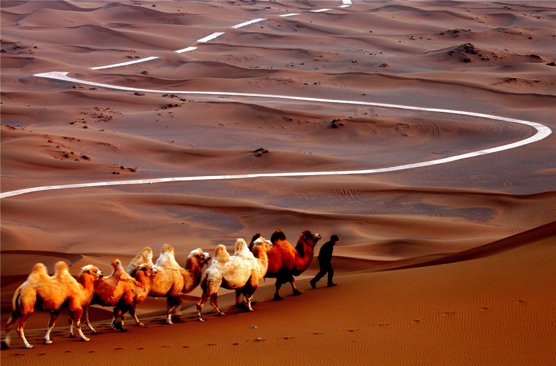 ɳĮ֮�� (3).jpg