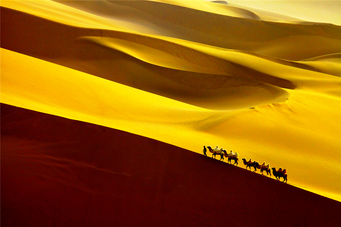 ɳĮ֮�� (4).jpg