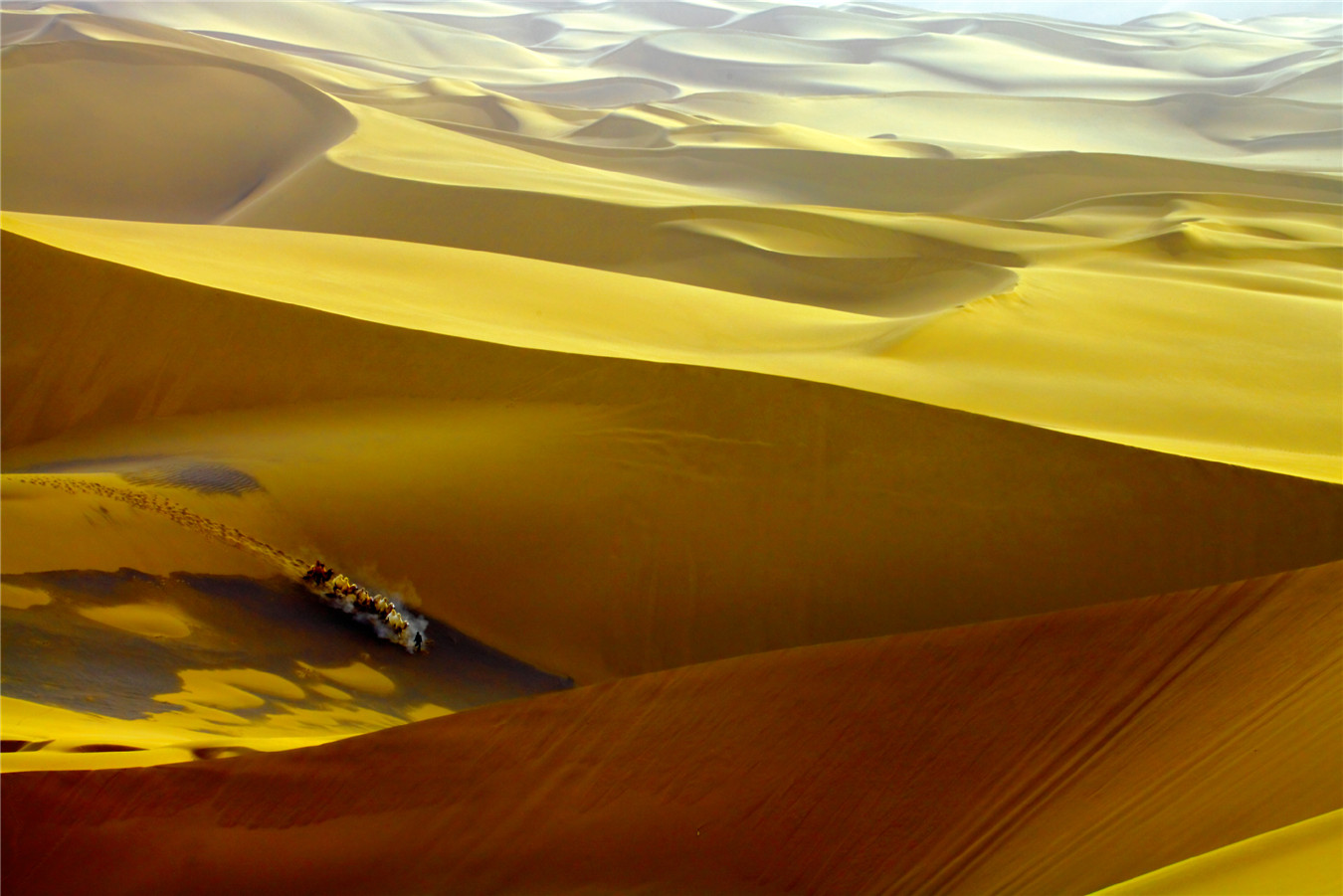 ɳĮ֮�� (5).jpg