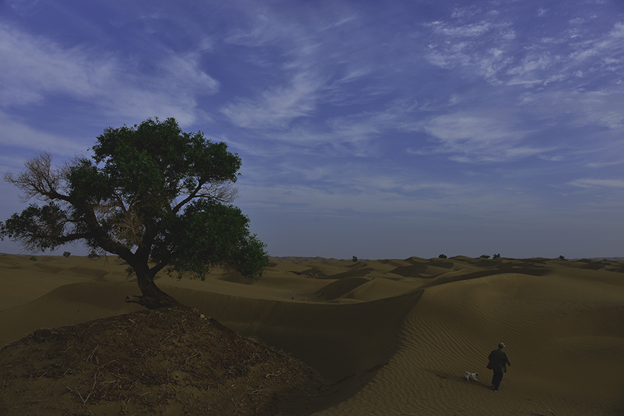 ����½��˵ľ���