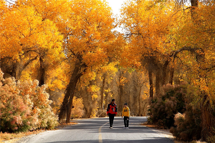 ɳĮ���� (1).jpg