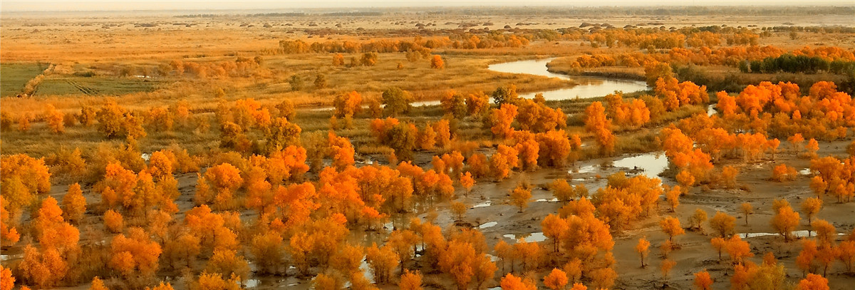 ɳĮ���� (3).jpg