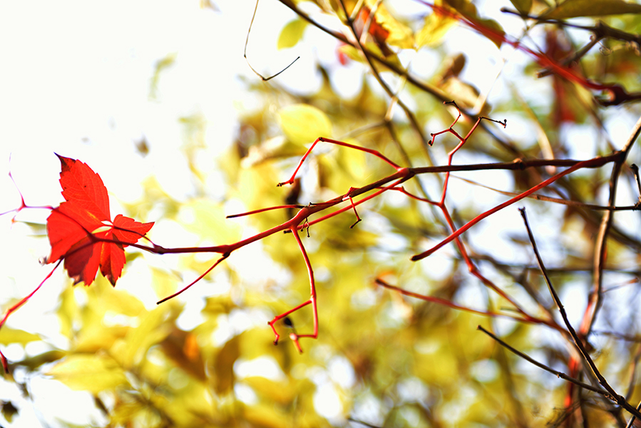 ��ȥ����ӭ�´�