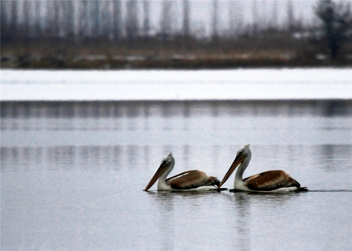 ������ (3).jpg