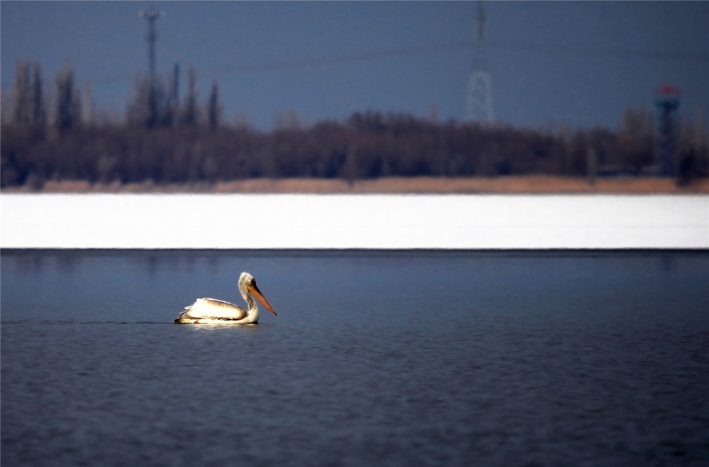 ��ɫ���� (2).jpg