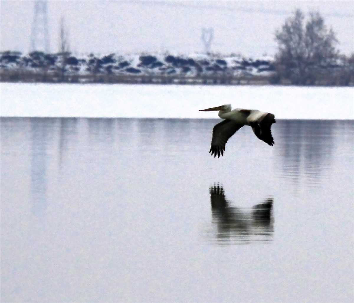 ���� (3).jpg