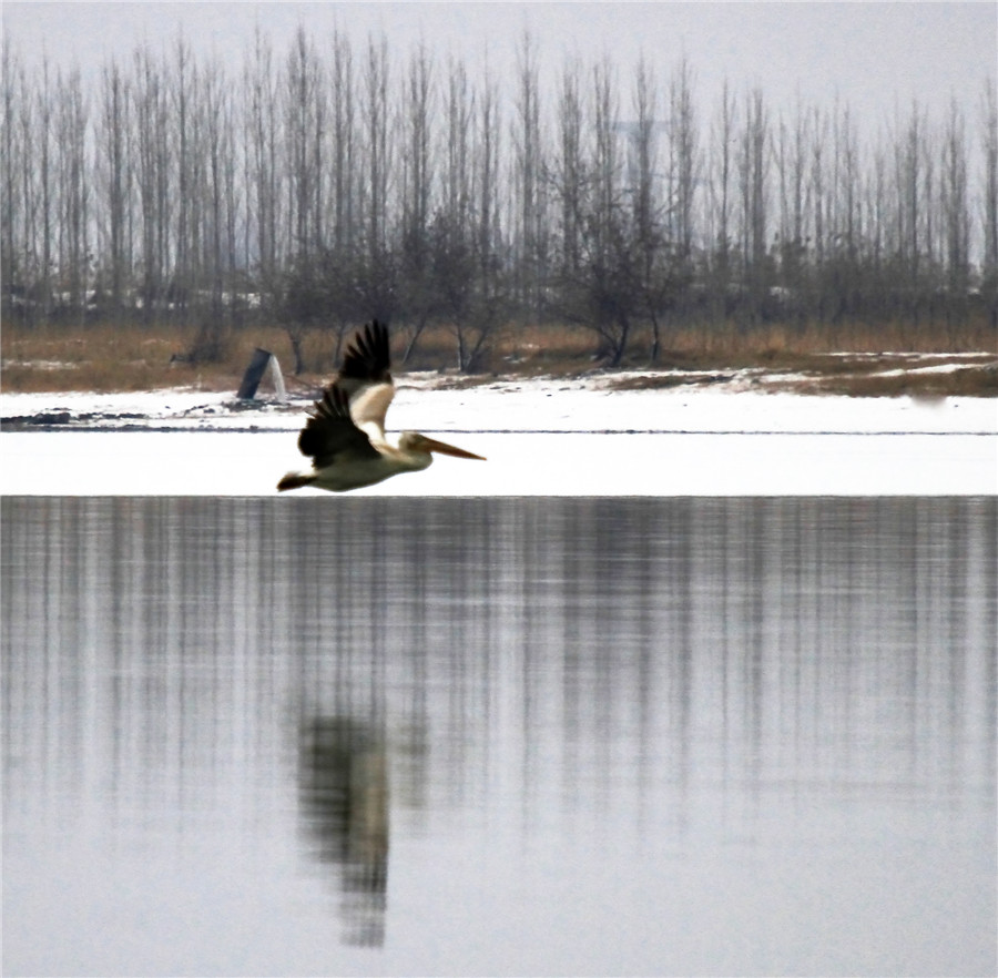 ���� (4).jpg